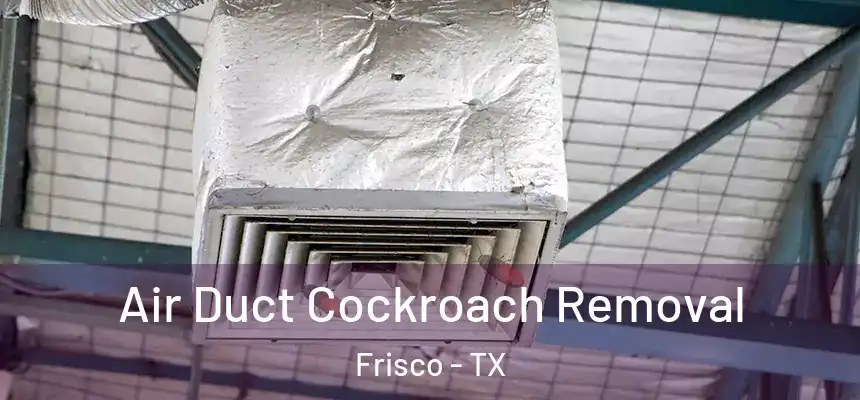 Air Duct Cockroach Removal Frisco - TX
