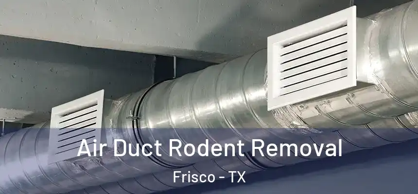 Air Duct Rodent Removal Frisco - TX
