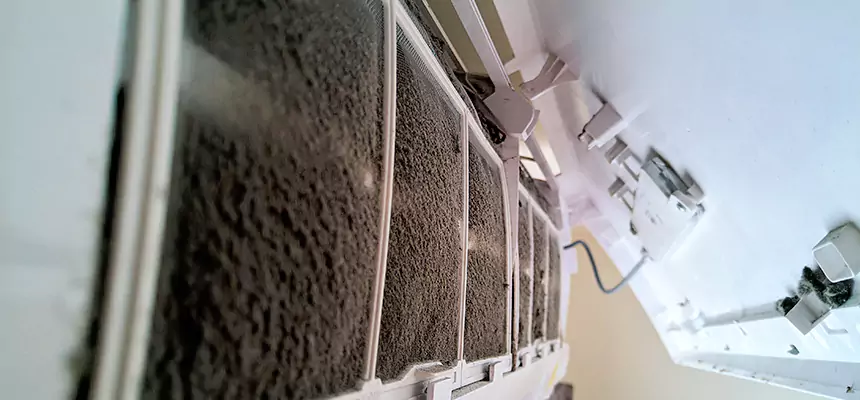 Preventive Air Duct Bacteria Removal in Frisco