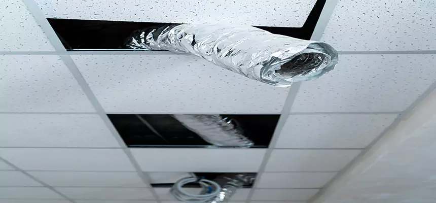 Our Air Duct Pet Hair Removal Services in Frisco, TX