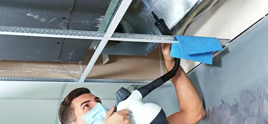 Our Air Duct Rodent Removal Services in Frisco, TX