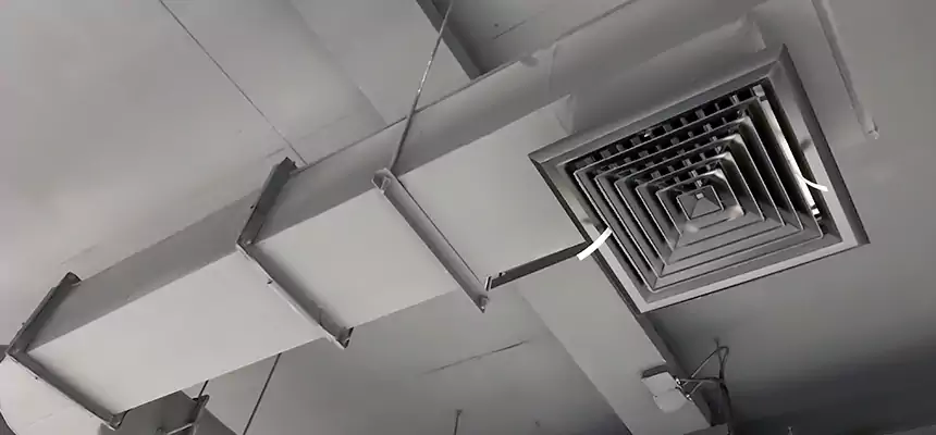 Our Pest Removal From Ducts Services in Frisco, TX