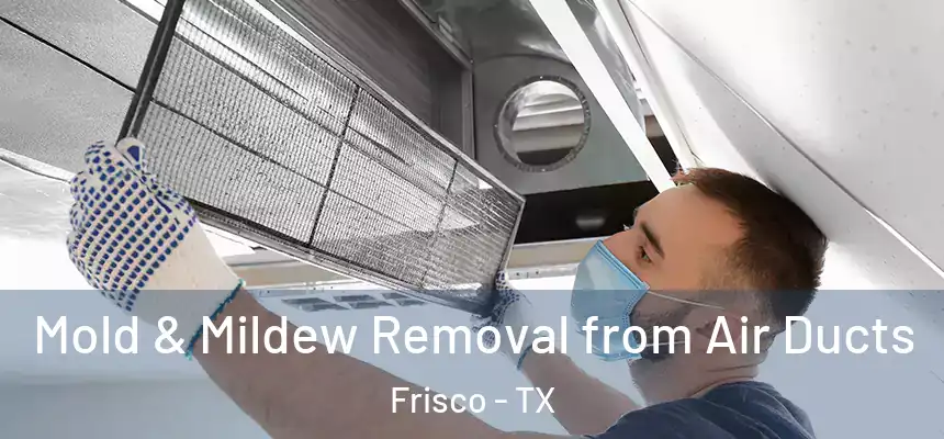Mold & Mildew Removal from Air Ducts Frisco - TX