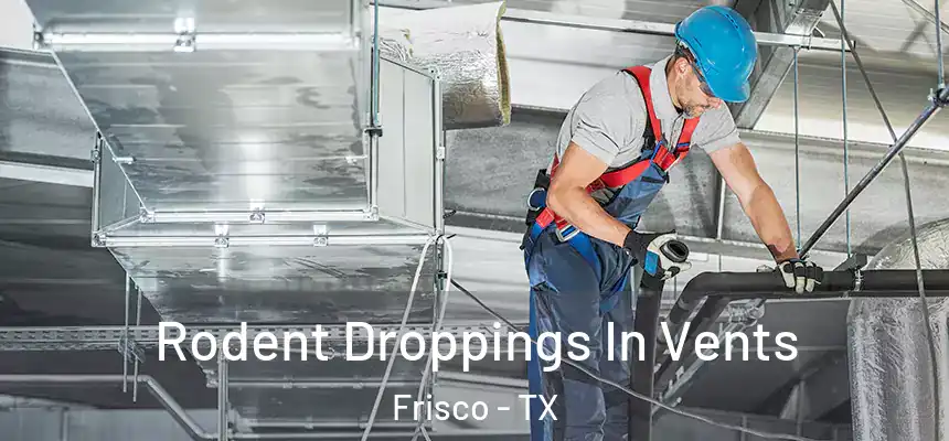 Rodent Droppings In Vents Frisco - TX