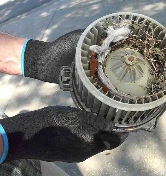 About Air Duct Mice Removal in Frisco, TX