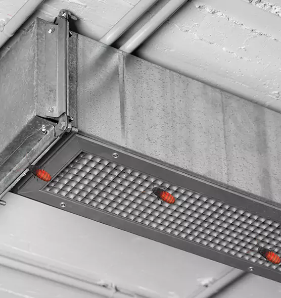 Affordable Insect Removal from Air Ducts in Frisco, TX