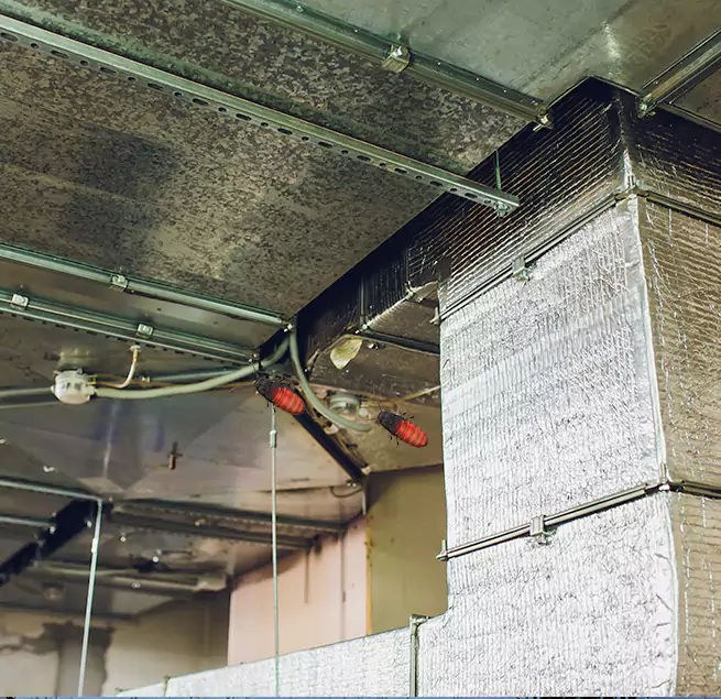 Why Homeowners & Businesses Trust Us in Frisco, TX?