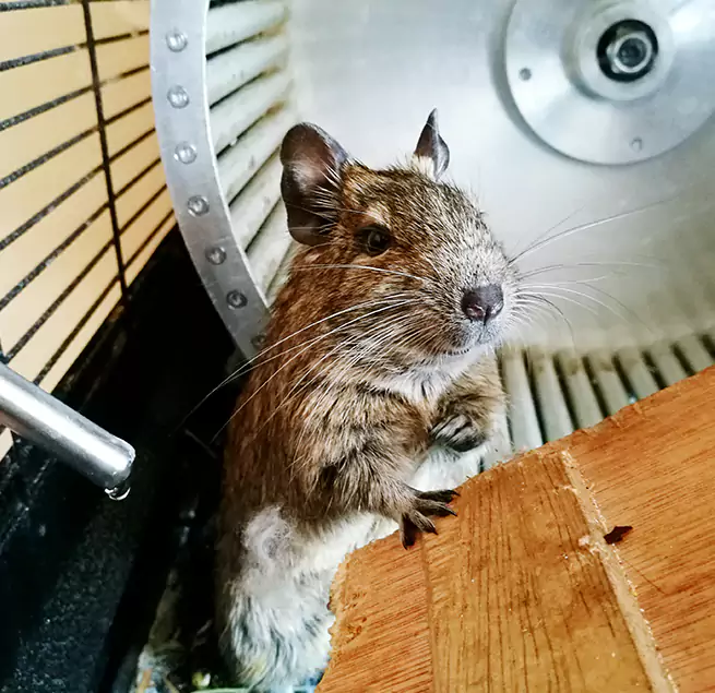 Why Homeowners & Businesses Trust Us Frisco, TX?