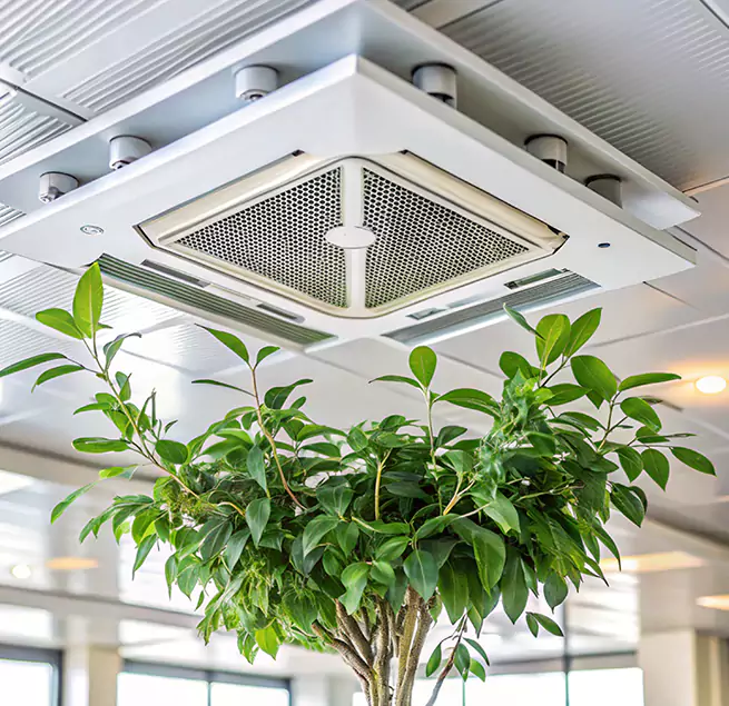 Why Homeowners & Businesses Trust Us in Frisco, TX